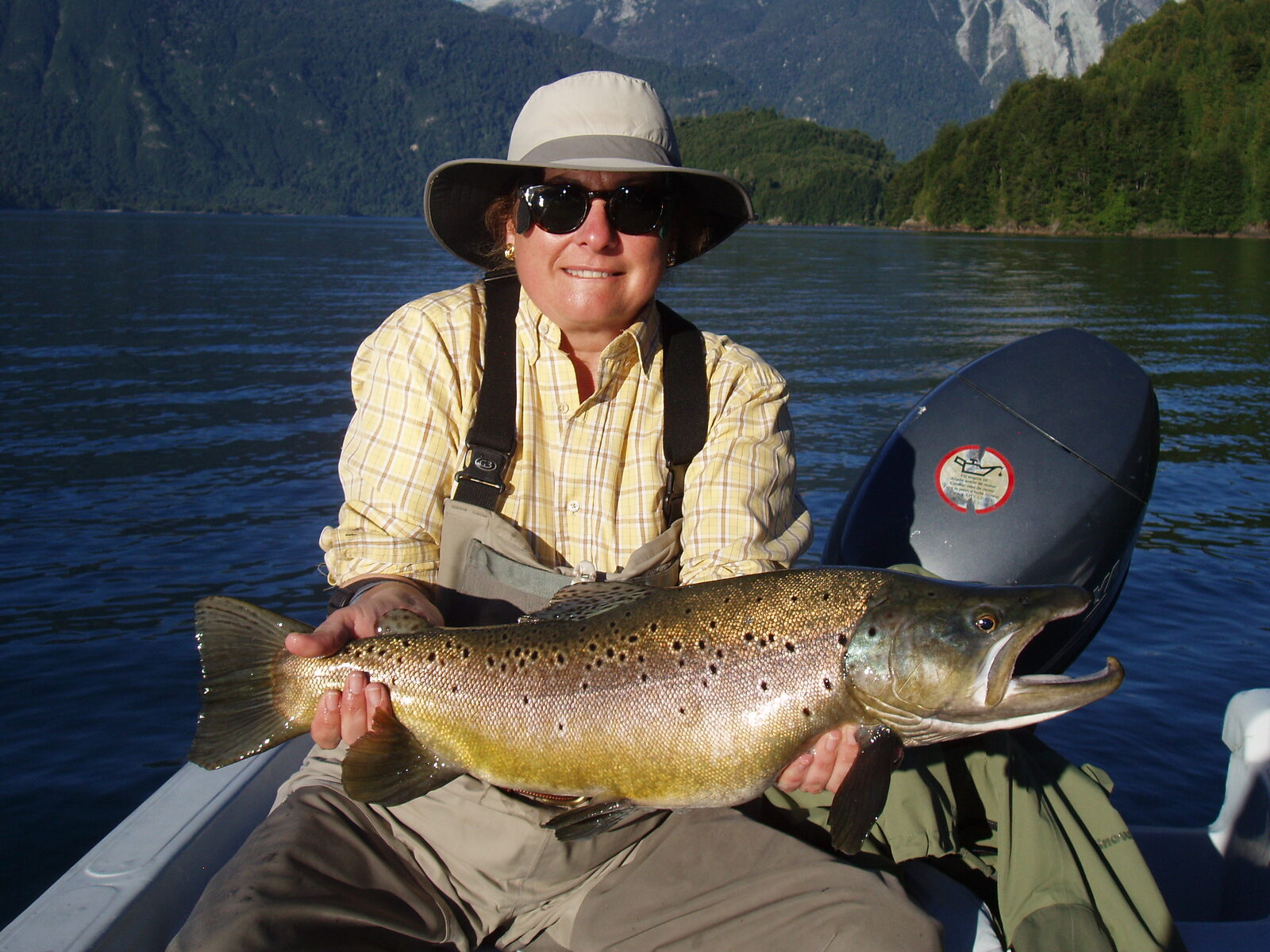 Trucha marrón en el lago Yelcho