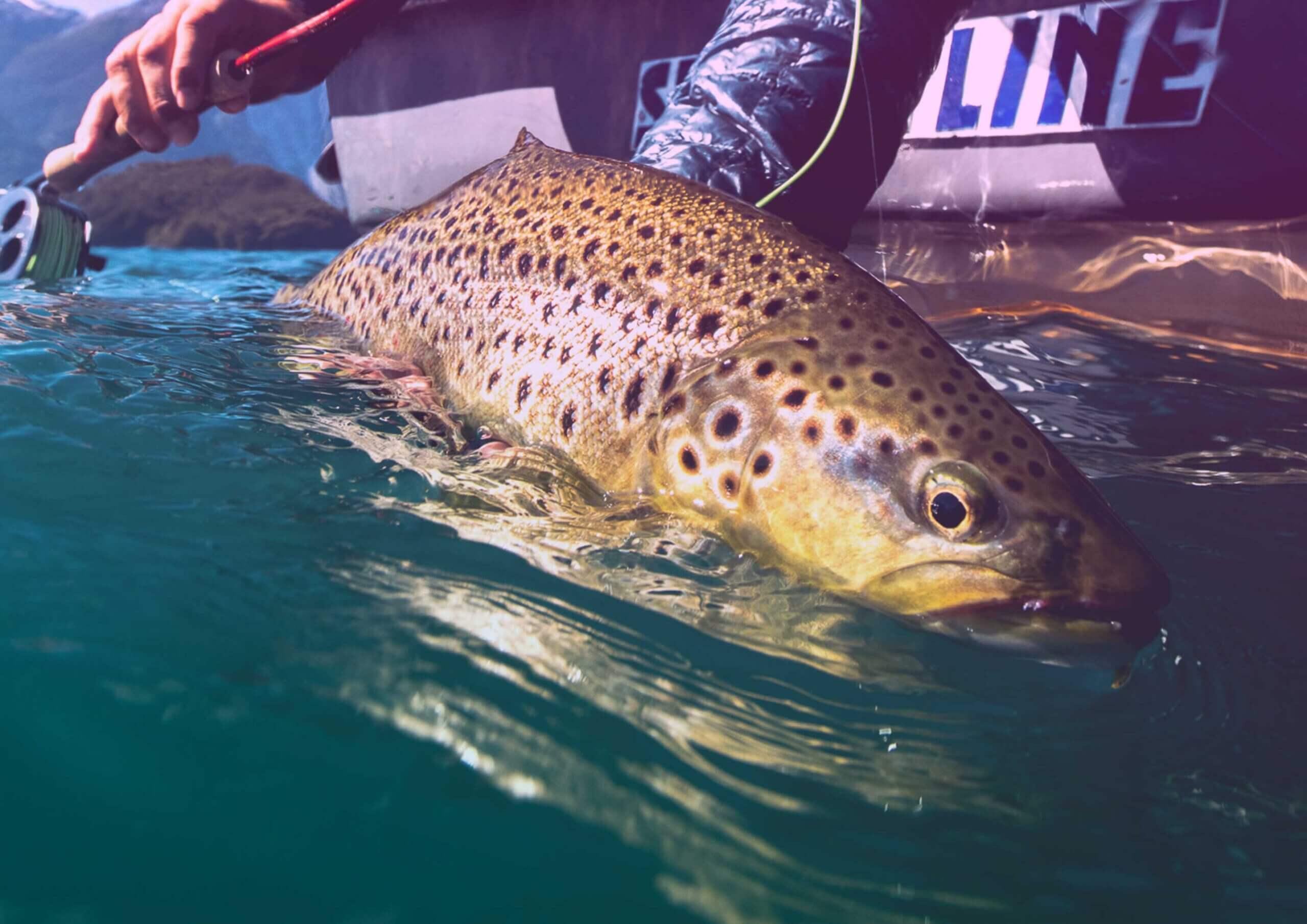 http://fly_fishing_yelcho_bg
